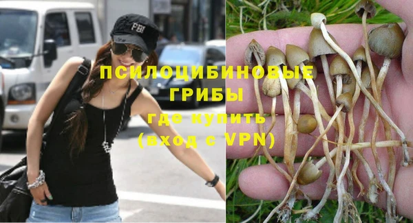 первитин Осинники