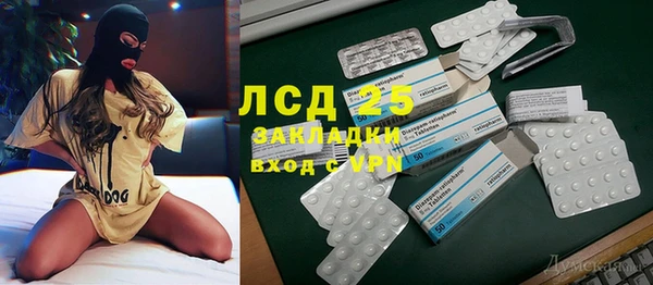 круглые Тайга